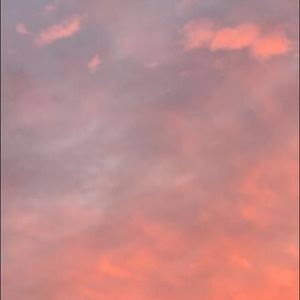 Meet your Posher, Kali